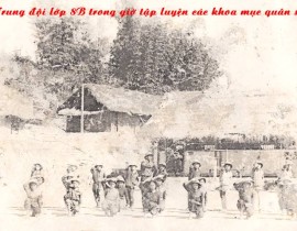 Ảnh tư liệu 5